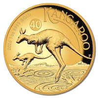 Australian Gold Kangaroo