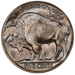 Buffalo Indian Head Nickel coin