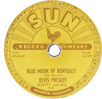 Elvis Presley Sun 209 45 rpm single