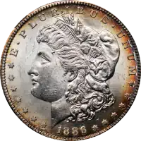 Morgan Dollar Coin