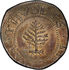 Pine Tree Shilling colonial coin