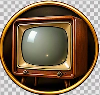 Vintage console television